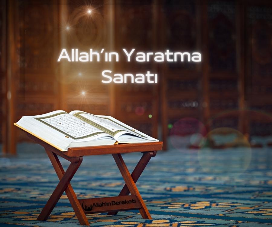 Allah’ın Yaratma Sanatı