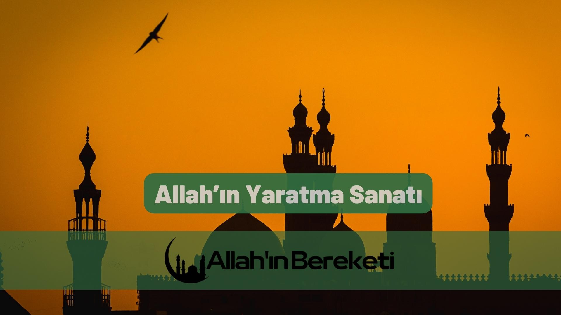 Allah’ın Yaratma Sanatı