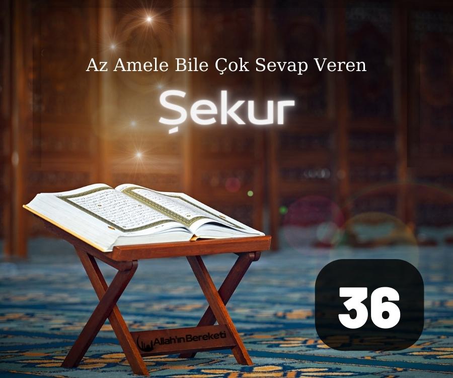 Şekur