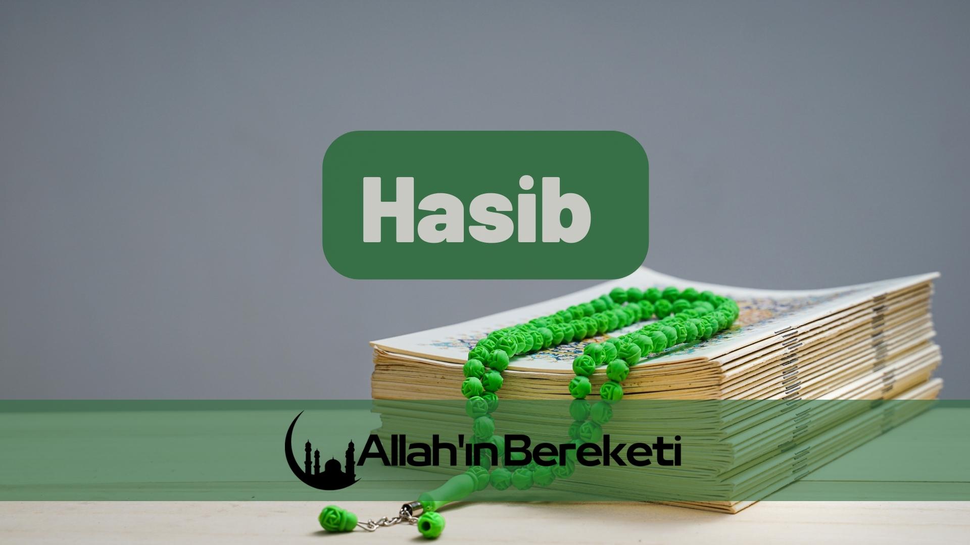 Hasib