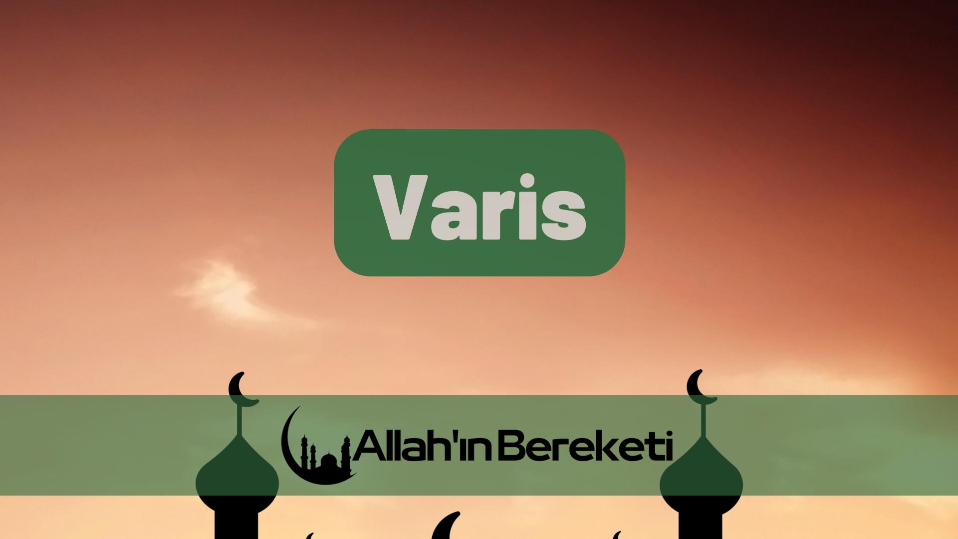 Varis