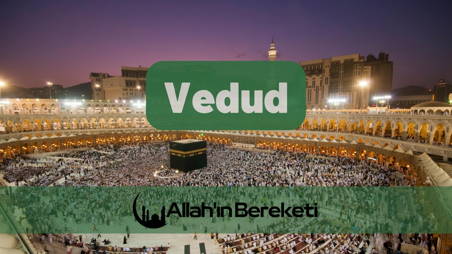 Vedud