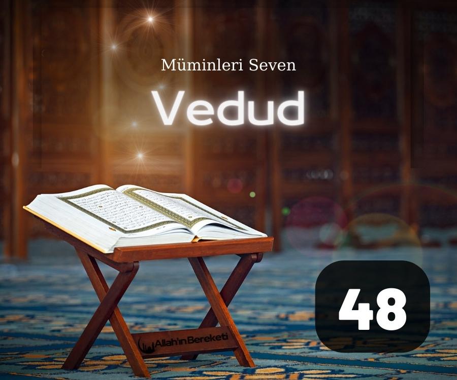 Vedud