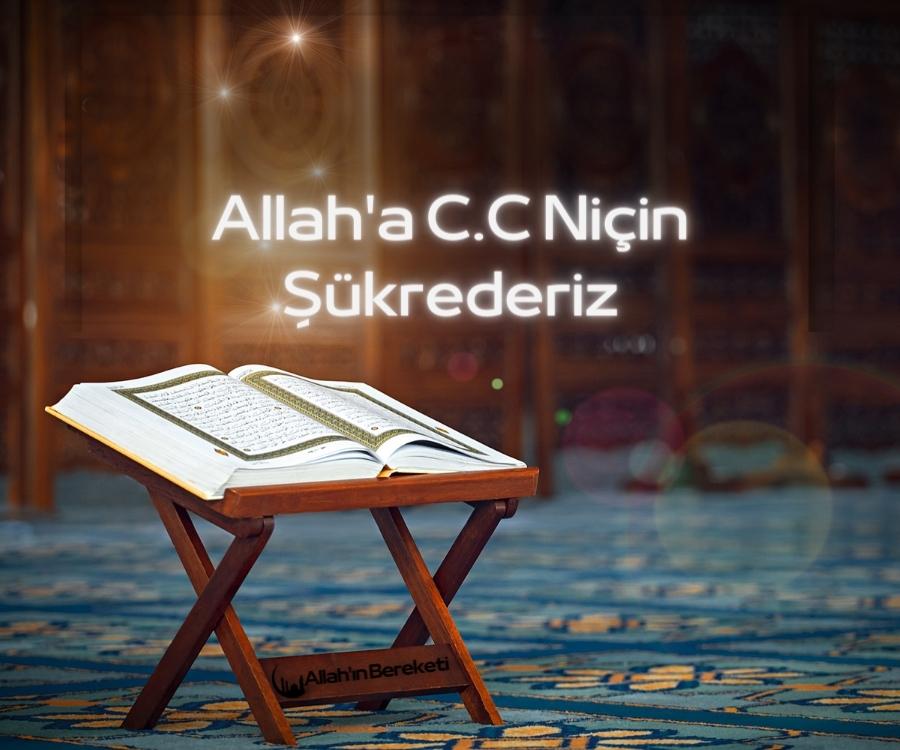 Allah'a C.C Niçin Şükrederiz