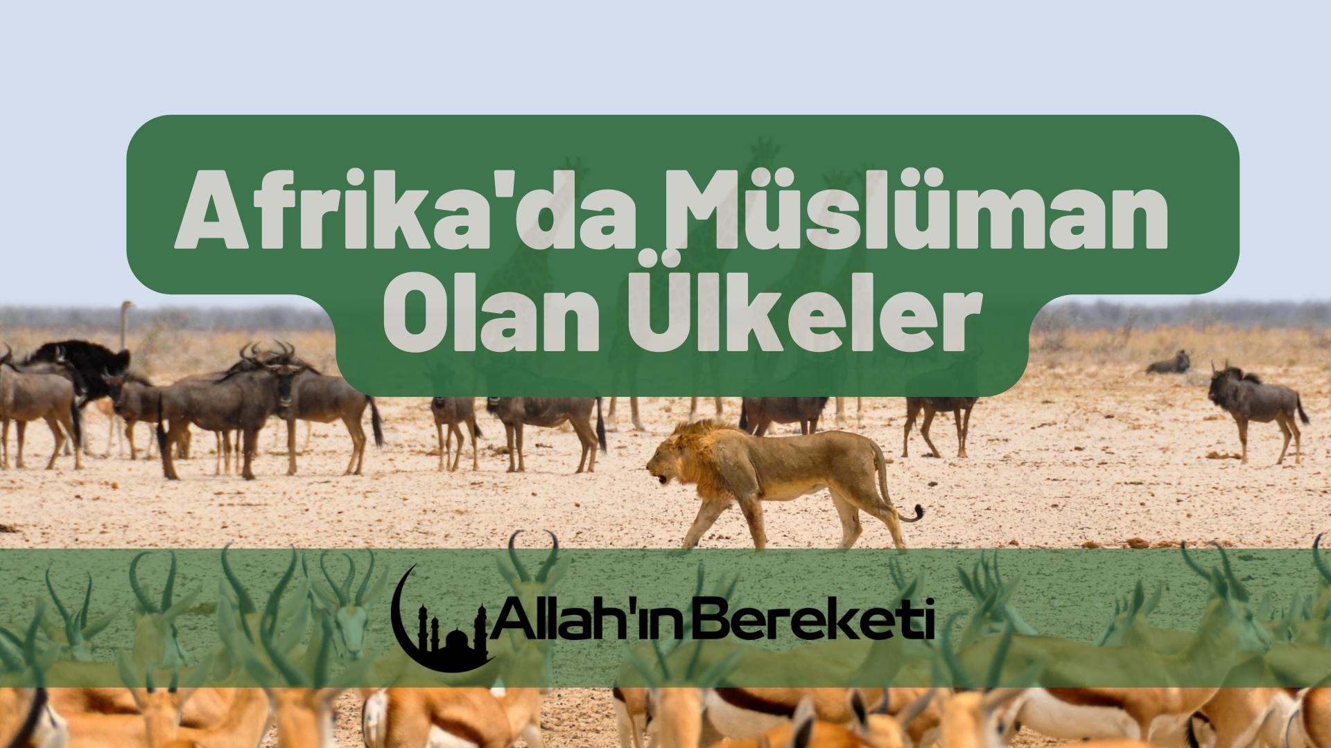 Afrika’da Müslüman Olan Ülkeler