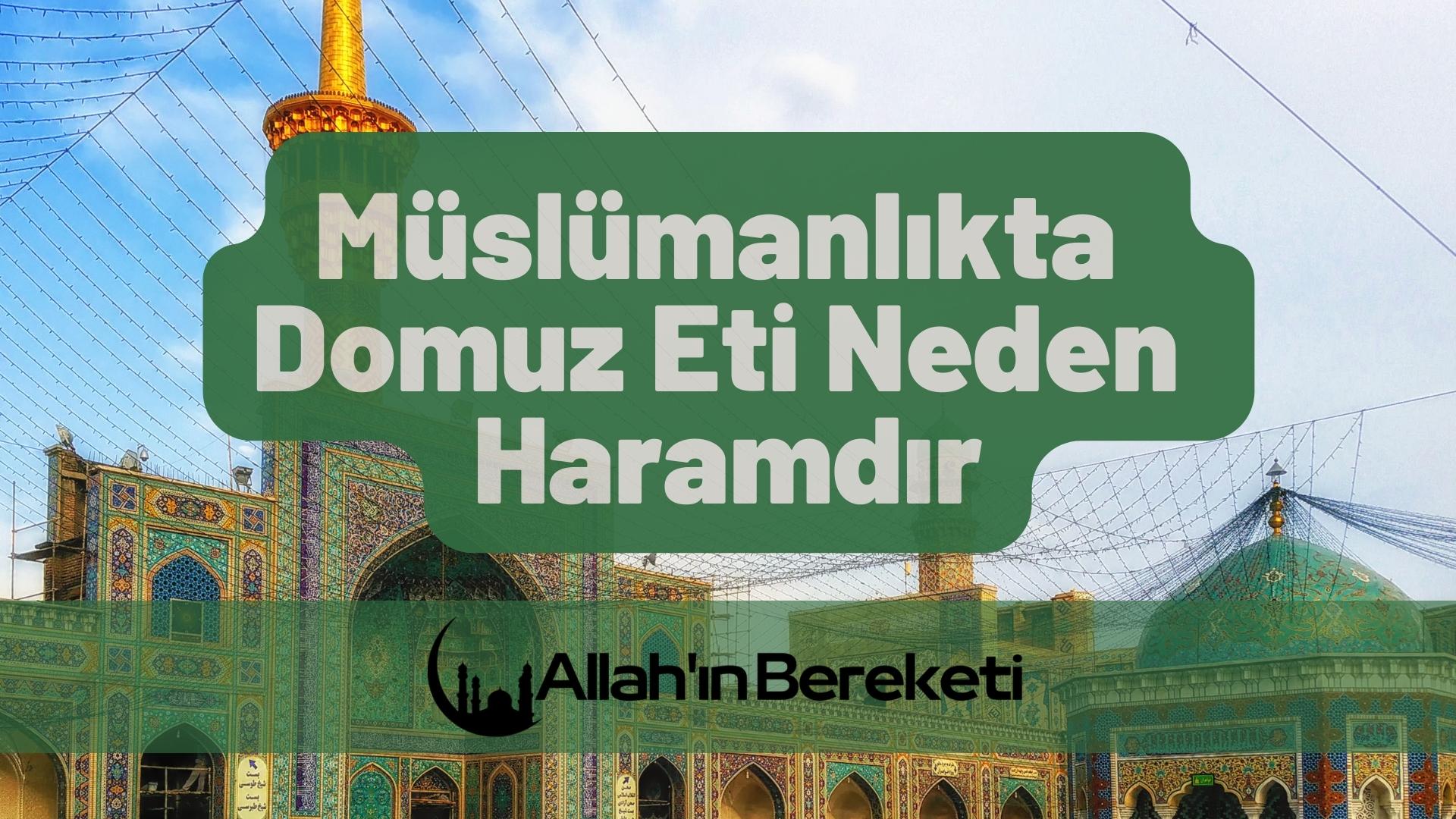 Müslümanlıkta Domuz Eti Neden Haramdır