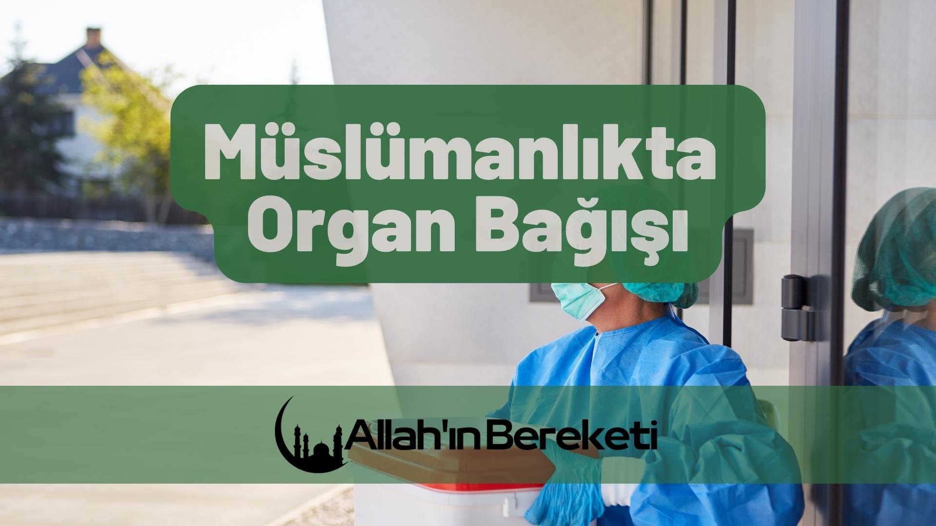 Müslümanlıkta Organ Bağışı