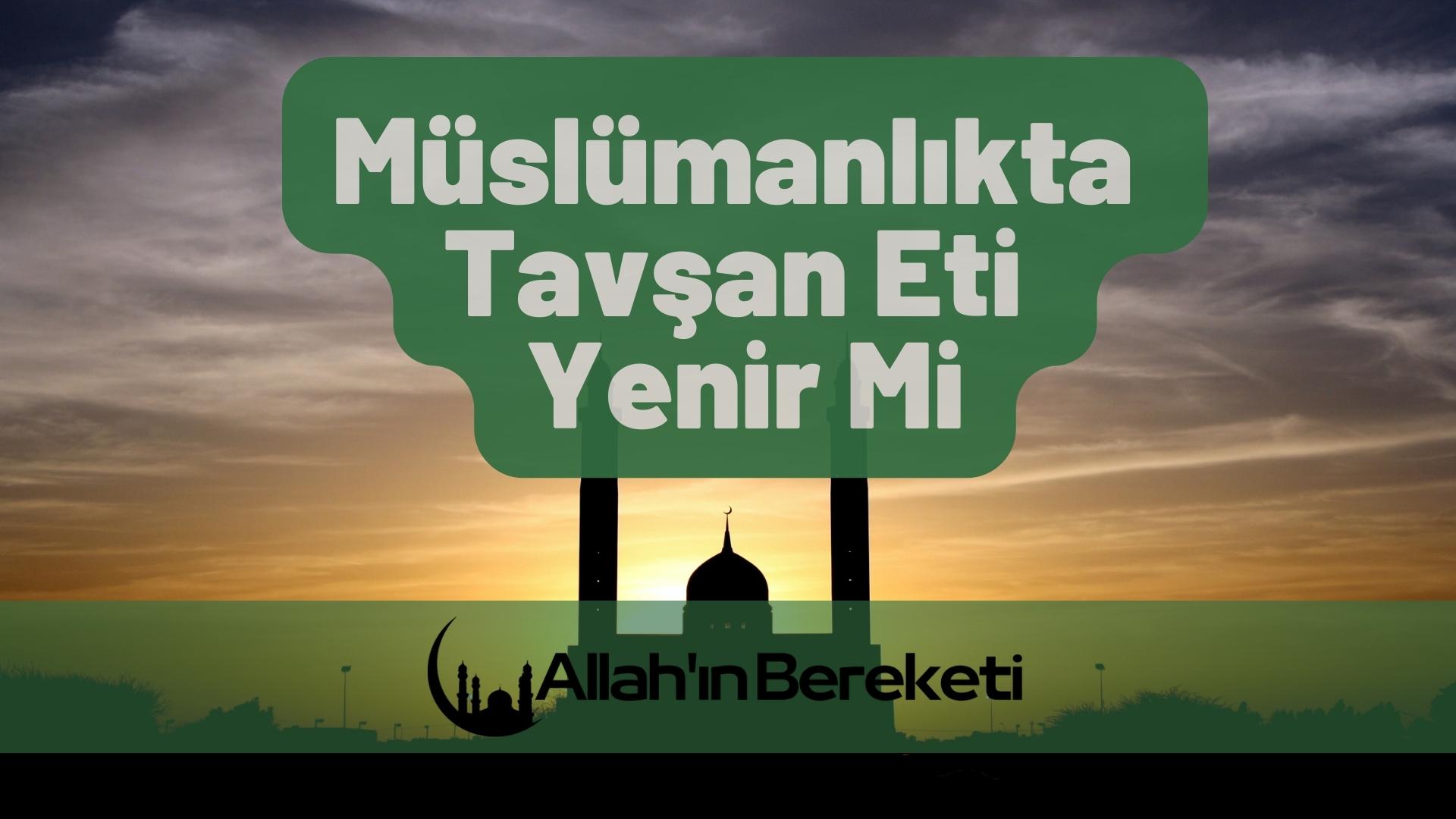 Müslümanlıkta Tavşan Eti Yenir Mi