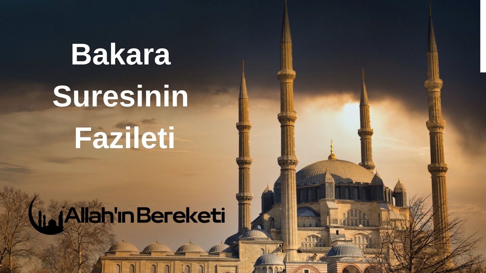 Bakara Suresinin Fazileti