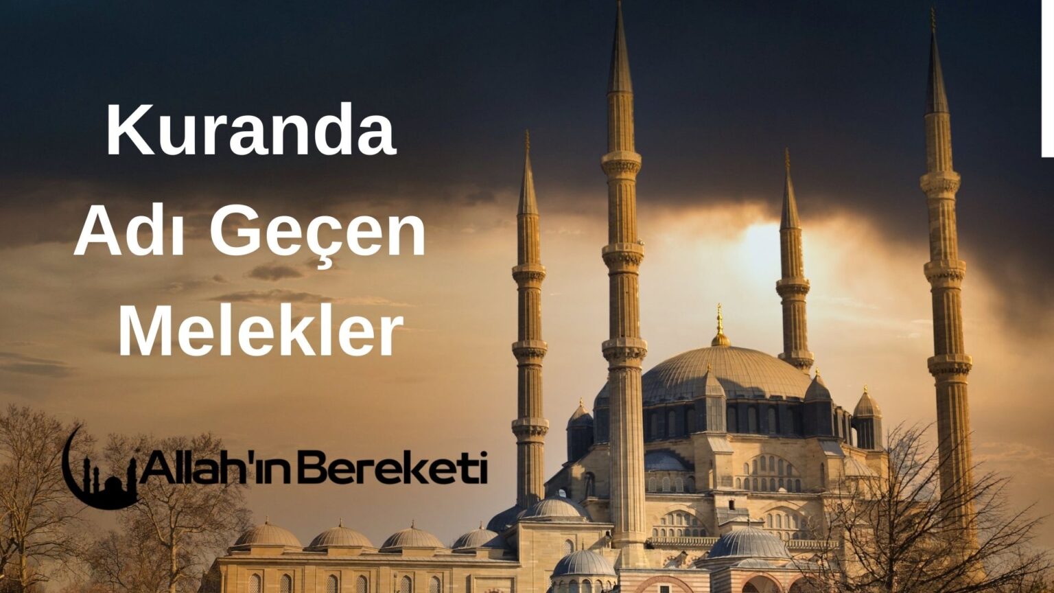 Kuranda adı en çok geçen peygamber kimdir?