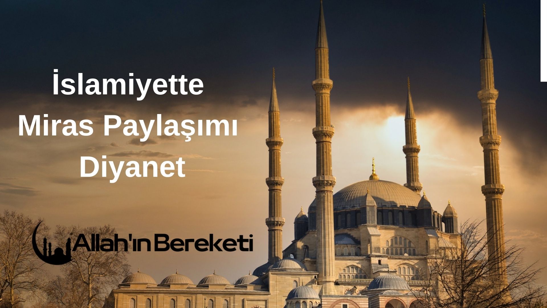 İslamiyette Miras Paylaşımı Diyanet