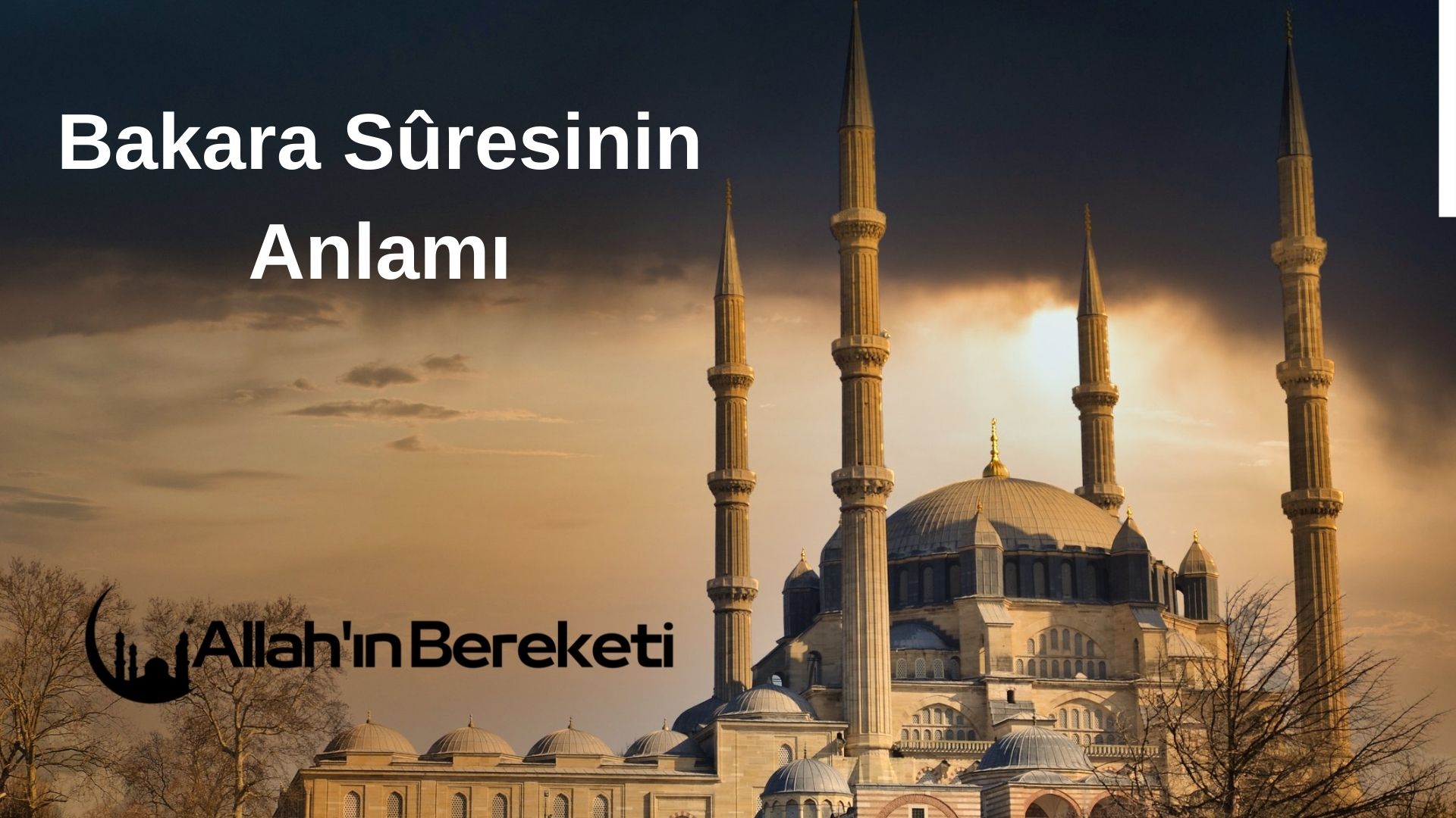 Bakara Sûresinin Anlamı