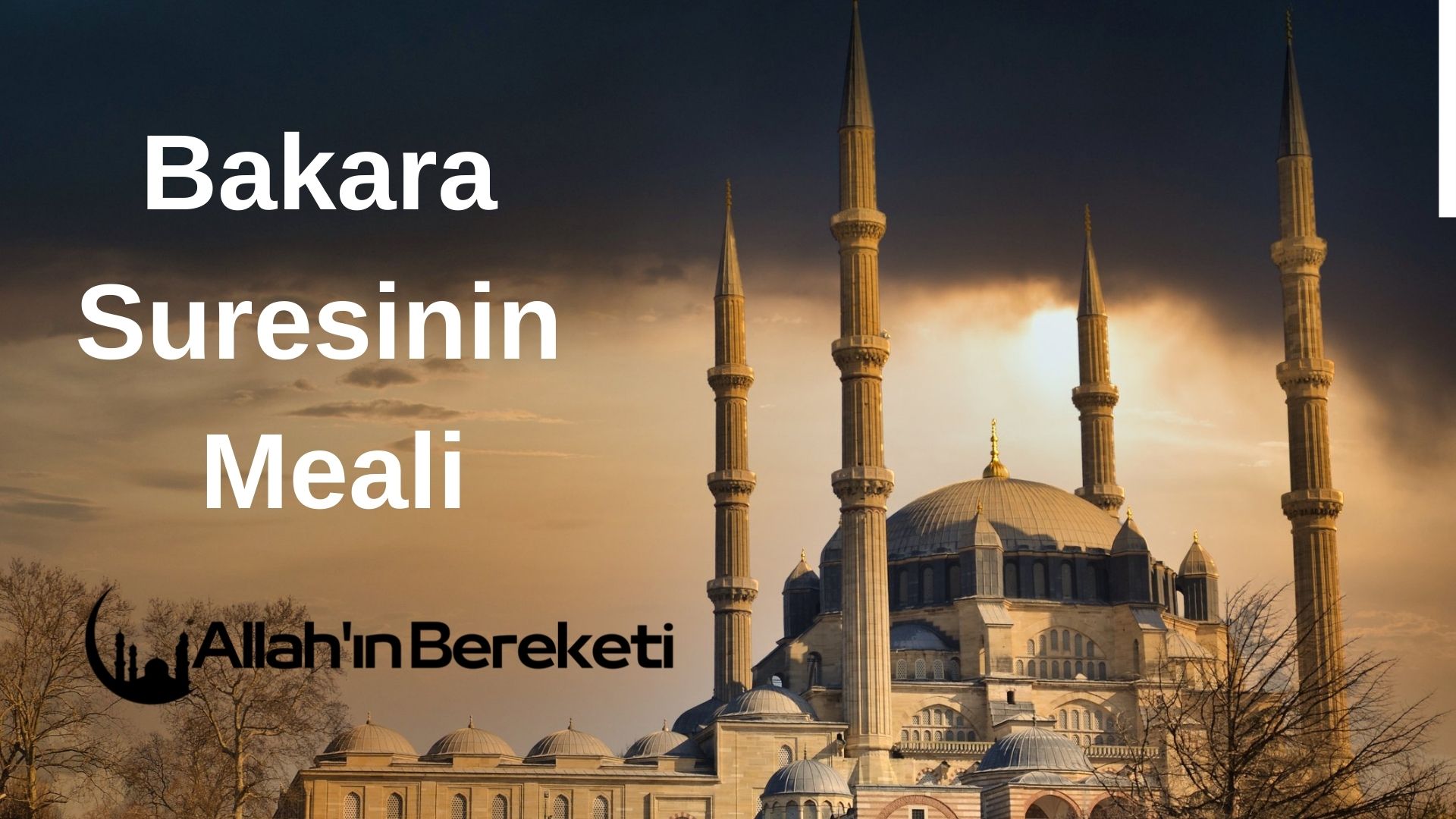 Bakara Suresinin Meali