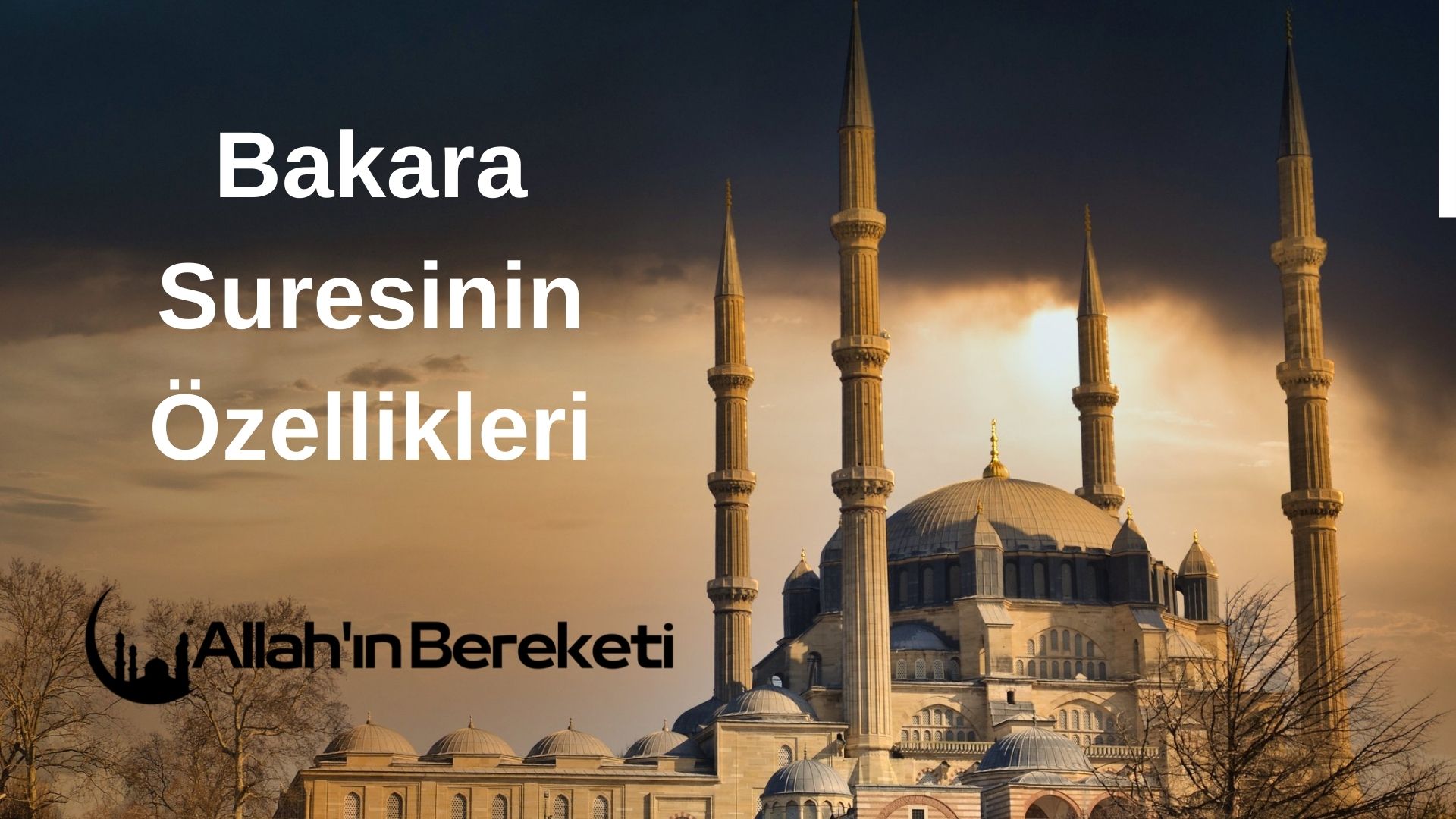 Bakara Suresinin Özellikleri