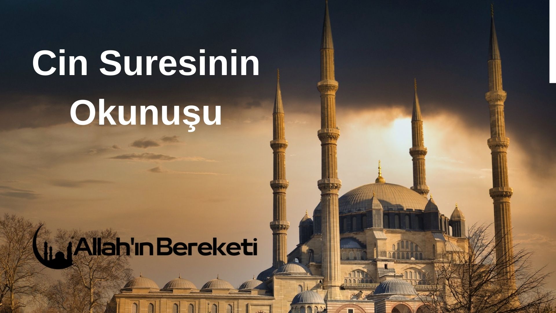 Cin Suresinin Okunuşu