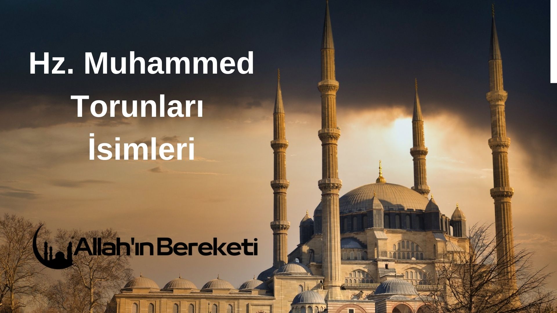 Hz. Muhammed Torunları İsimleri