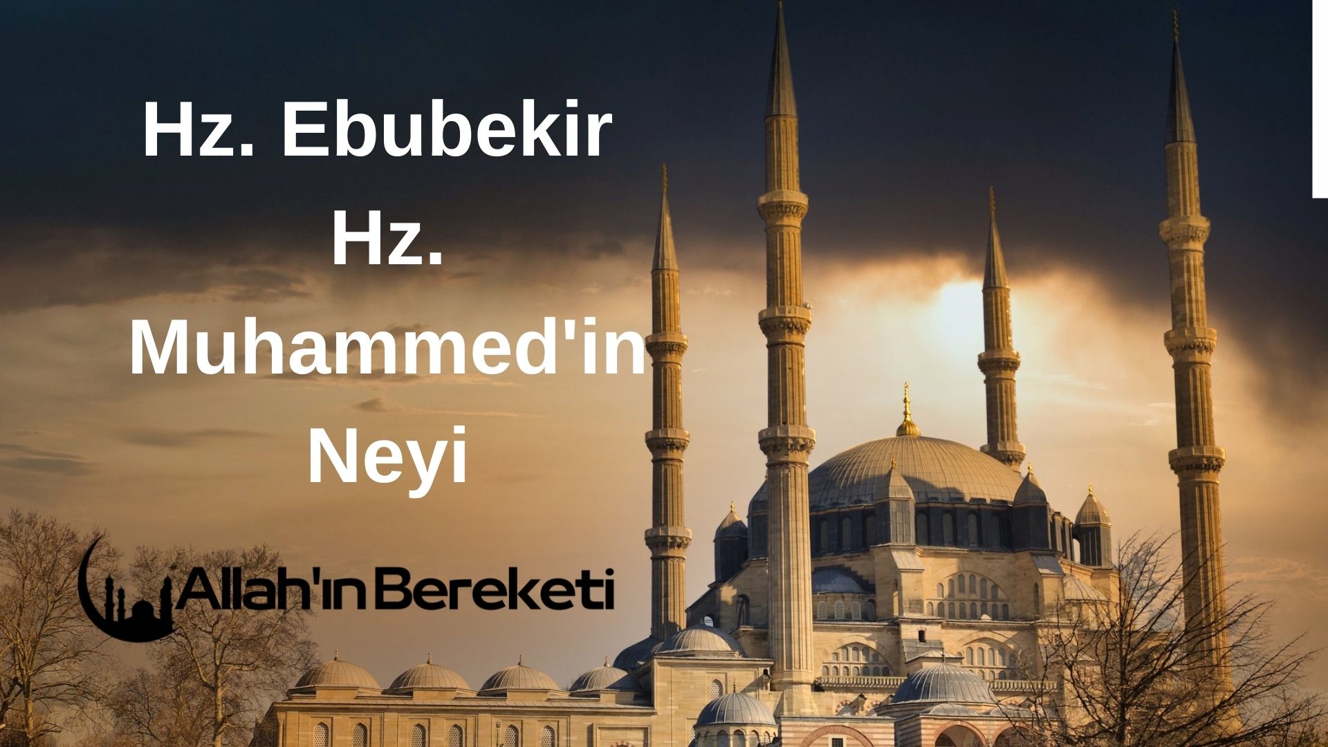 Hz. Ebubekir Hz. Muhammed'in Neyi
