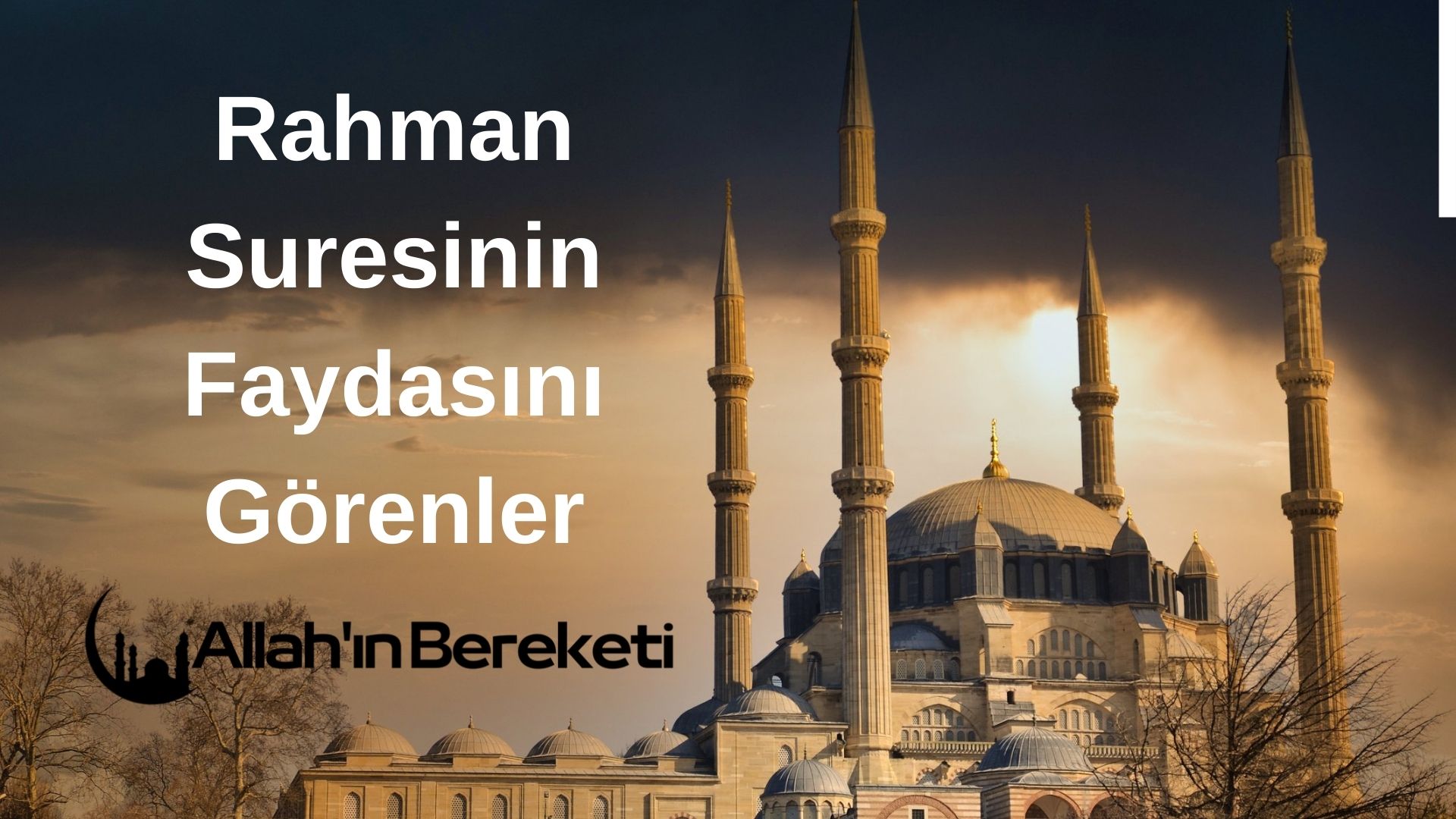 Rahman Suresinin Faydasını Görenler