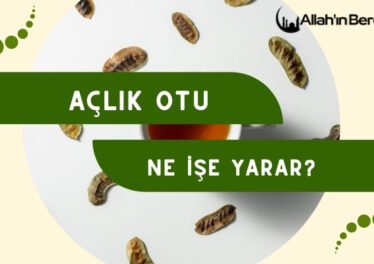 Açlık Otu Ne İşe Yarar