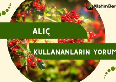 Alıç Kullananların Yorumları