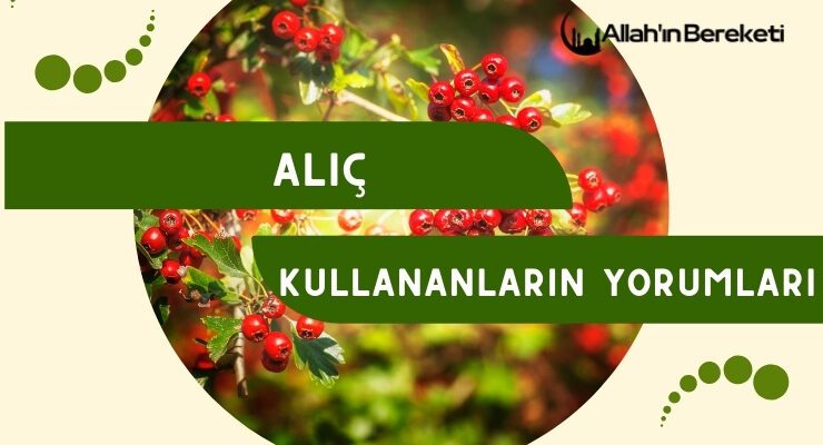 Alıç Kullananların Yorumları