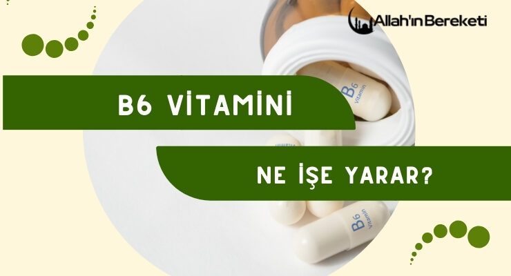 B6 Vitamini Ne İşe Yarar