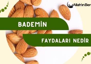 Bademin Faydaları Nedir