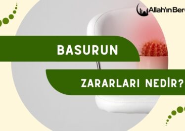 Basurun Zararları Nedir