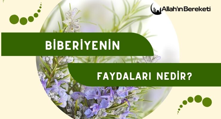 Biberiyenin Faydaları Nedir