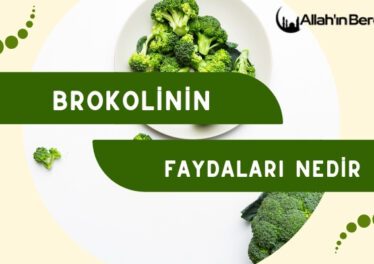 Brokolinin Faydaları Nedir