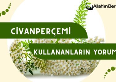 Civanperçemi Kullananların Yorumları