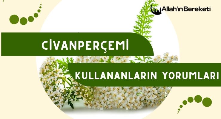 Civanperçemi Kullananların Yorumları