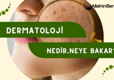 Dermatoloji Nedir