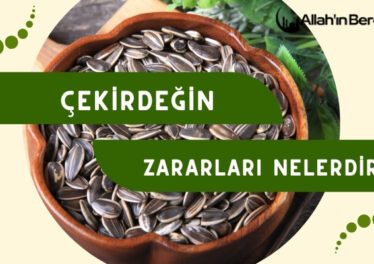 Çekirdeğin Zararları Nelerdir