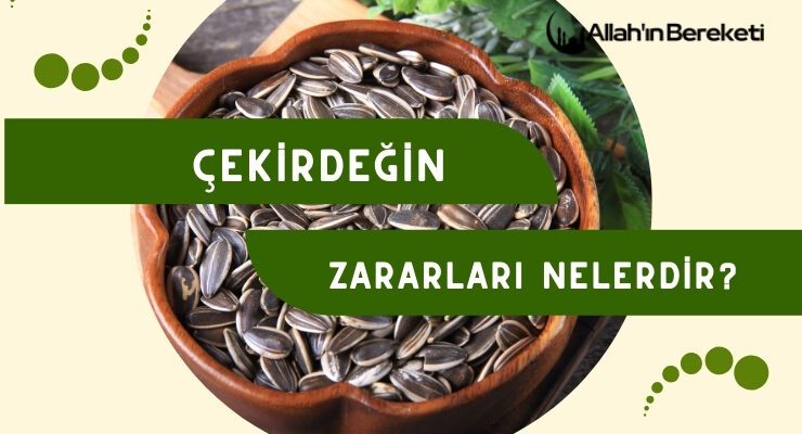 Çekirdeğin Zararları Nelerdir