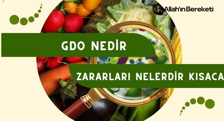 Gdo Nedir Zararları Nelerdir Kısaca