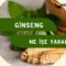 Ginseng Ne İşe Yarar