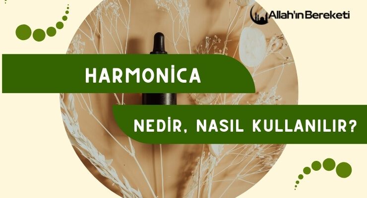 Harmonica Nedir