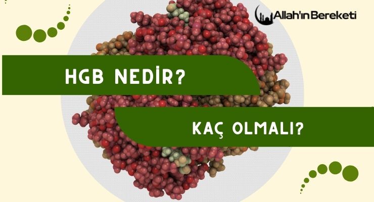 Hgb Nedir