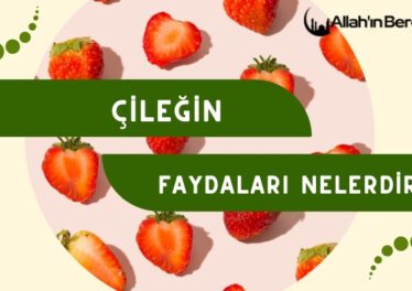 Çileğin Faydaları Nelerdir