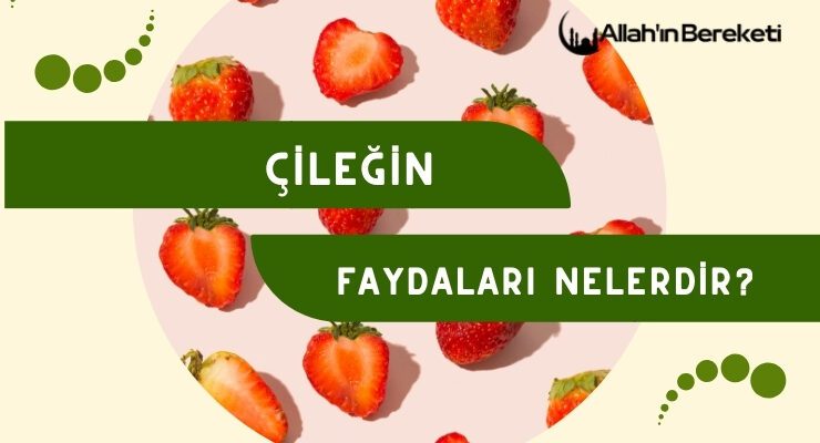 Çileğin Faydaları Nelerdir