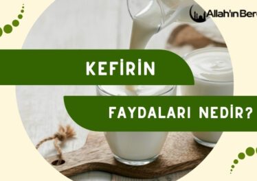 Kefirin Faydaları Nedir