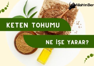 Keten Tohumu Ne İşe Yarar