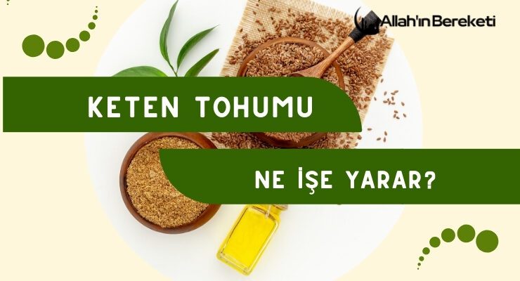 Keten Tohumu Ne İşe Yarar