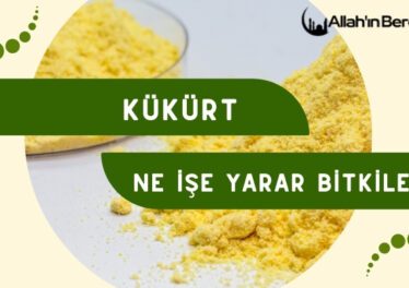 Kükürt Ne İse Yarar Bitkilerde