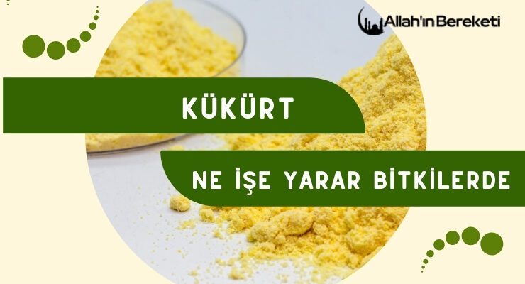 Kükürt Ne İse Yarar Bitkilerde