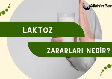 Laktoz Zararları Nedir