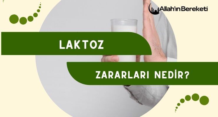 Laktoz Zararları Nedir