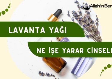 Lavanta Yağı Ne İse Yarar Cinsellik