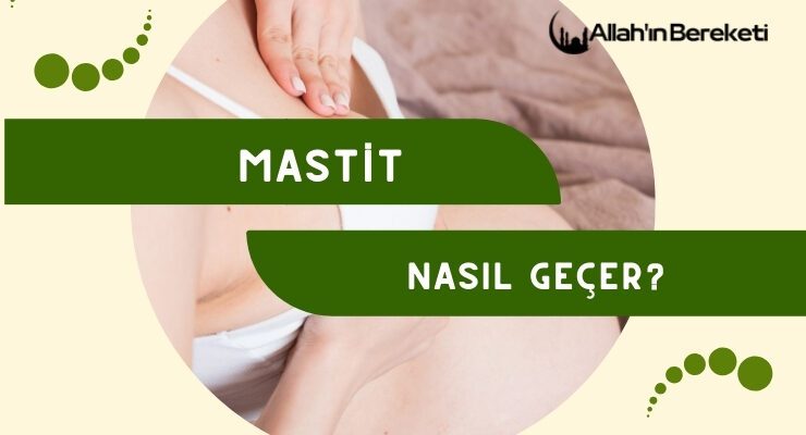 Mastit Nasıl Geçer